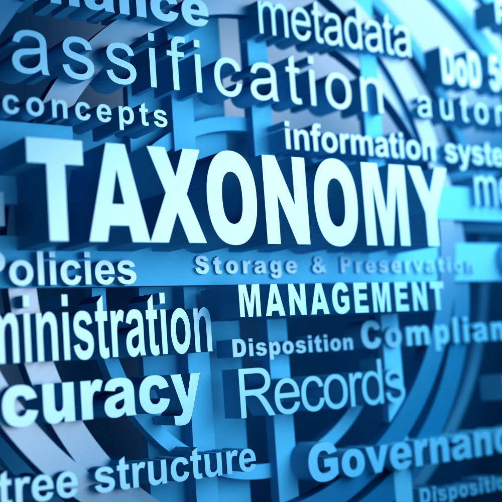 Cómo Crear Taxonomías Personalizadas en Woocommerce